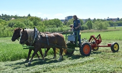 Seminář s praktickými ukázkami „Šetrné metody hospodaření na zemědělské půdě“, 30. května 2019